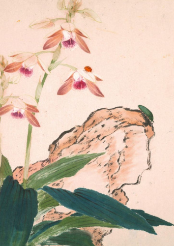 Тетрадь Насекомые и цветы "Божья коровка"