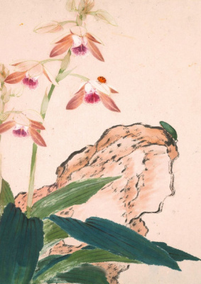 Тетрадь Насекомые и цветы "Божья коровка"