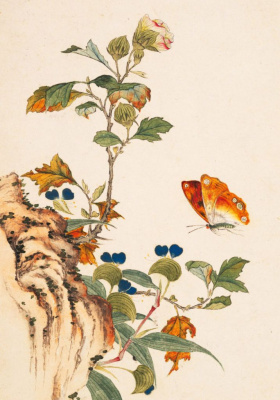 Тетрадь Птицы, насекомые и цветы "Бабочка"