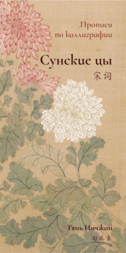 Прописи по каллиграфии "Сунские цы"