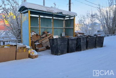 Госдума РФ приняла в первом чтении законопроект парламента Якутии об отходах / Анна Лебединская   