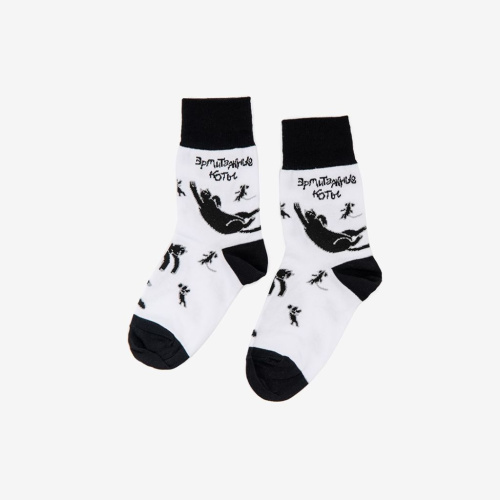 Носки "Эрмитажные коты" 34-37