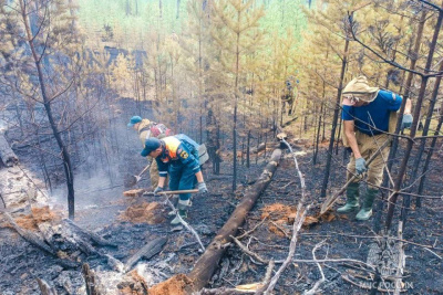 Якутия присоединилась к федеральной информационной кампании «Останови огонь!» / ЯСИА   