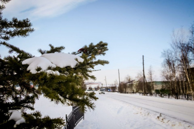 В вилюйской группе районов произошел обрыв линий связи «Ростелекома» / ЯСИА   