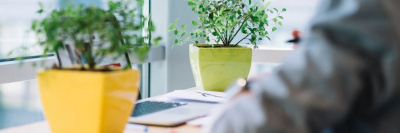 В России появился первый «зеленый офис» /    