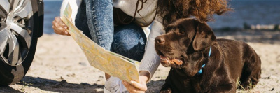 В Роскачестве разрабатывают стандарт для отелей, принимающих гостей с животными /    