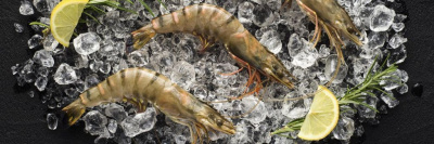 Производители тигровых креветок получили предостережения о недопустимости нарушений /    