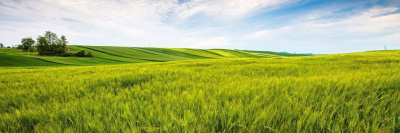 Роскачество выдало 300-й сертификат на органическую продукцию /    