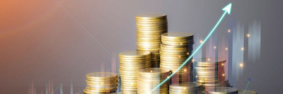 Программа долгосрочных сбережений граждан: что это и как она работает /    