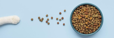 Роскачество назовет лучшие марки сухого корма для кошек /    