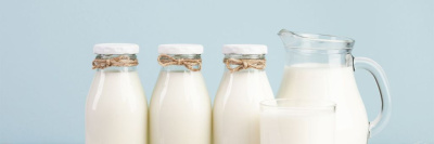 Создано молоко «из пробирки», по вкусу и составу аналогичное натуральному /    