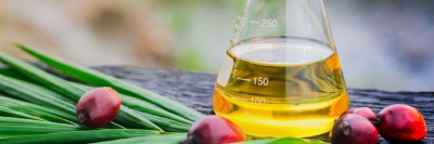 Из-за скачка цен на подсолнечное масло в Великобритании переходят на пальму /    