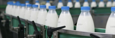 Производители молочной продукции исправляют нарушения /    