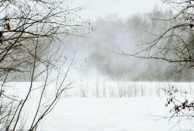 В четверг - весенняя метель /    