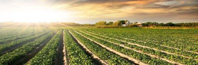 В эфире НТВ Роскачество расскажет о производстве органического молока и других продуктов /    