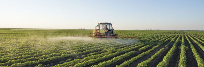 Жители Швейцарии не поддержали запрет на использование пестицидов /    
