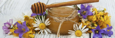 В России появился органический мед /    