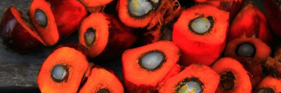 Количество пальмового масла в продуктах хотят ограничить /    