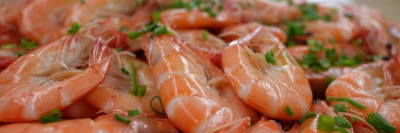 «Тест» на ТВ: как проходили повторные испытания креветок /    