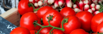 В России началось онлайн-голосование по выбору «зелёного» бренда /    