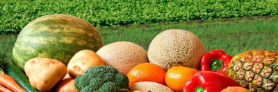 Список контролируемых пестицидов в России будет расширен /    