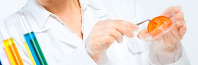 В зоне внимания Роскачества – фермерские продукты /    