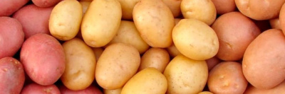 Импортёр картофеля из-за нарушений лишился права его реализовывать /    