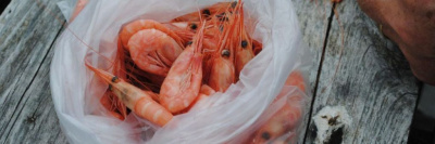 Исследование качества креветок - результаты /    