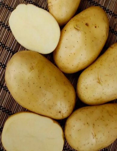 Картофель Колетте, суперэлита