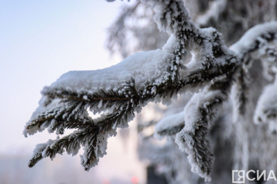 Гордеев день: что можно и что нельзя делать 16 января / ЯСИА   