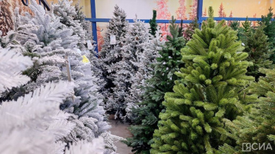 За неправильную утилизацию елки россиянам грозит штраф до четырех тысяч рублей / ЯСИА   