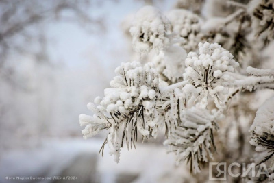 От -10 до -55 градусов: прогноз погоды в Якутии на 21 января / ЯСИА   Республика Саха (Якутия)