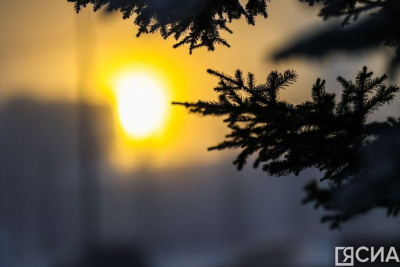 Татьянин день: приметы, что можно и нельзя делать / ЯСИА   