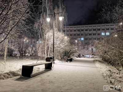 Пока в Якутии была ночь: в тюрьму за пинок кролика, пожар на судне в Турции и Новый год в Китае / ЯСИА   
