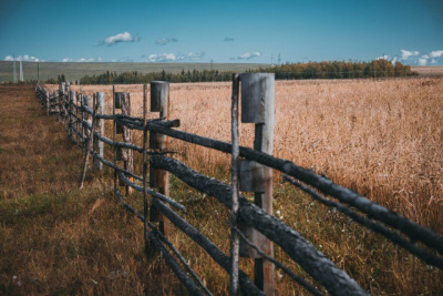 Названы месторождения бурого угля с наибольшим содержанием веществ, полезных для сельского хозяйства / ЯСИА   Республика Саха (Якутия)