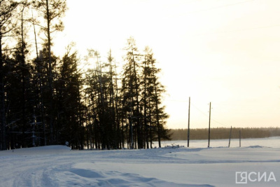 Юрист объяснил, за что будут изымать земельные участки с 1 марта / ЯСИА   