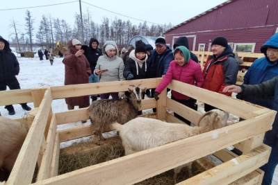 Иппотерапия и отдых в апидомиках: семья из Вилюйского района открыла уникальную экоферму / Мария Горохова  Вилюйский Республика Саха (Якутия)
