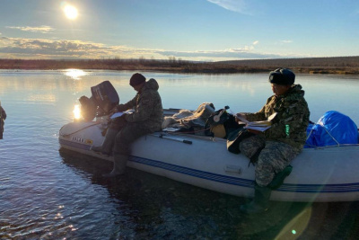 АЛРОСА продолжит финансировать проект по защите северных оленей / ЯСИА   