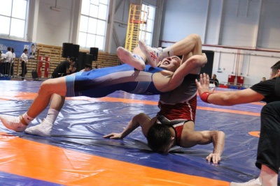 Чемпионат Якутии по вольной борьбе состоится в Таттинском улусе / Дьулустаан Сергеев   