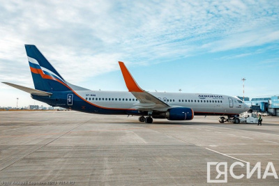 Аэрофлот ввёл новую услугу перевозки животных на соседнем пассажирском кресле / ЯСИА   