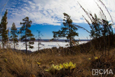 Места массового отдыха определили в Якутске / ЯСИА Якутск Якутск Республика Саха (Якутия)