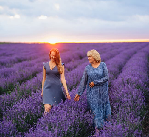 День в провансе