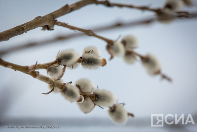 Народные приметы на 19 апреля 2024 года: что нельзя делать в этот день / ЯСИА   