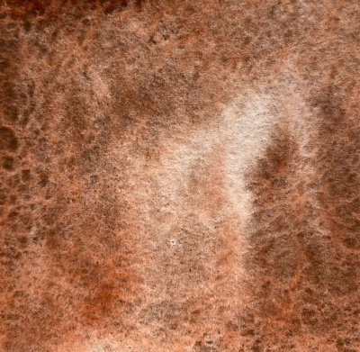 Акварель "Handy" кювета 2 мл, Оксид железа коричневый светлый