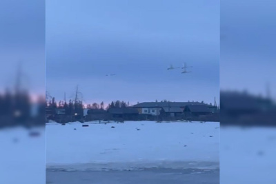 Лебеди вернулись спустя 30 лет в якутское село Едей UPD / Нарыйа Пахомова   