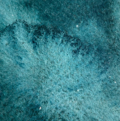 Акварель "Handy" кювета 2 мл, Прусский зеленый