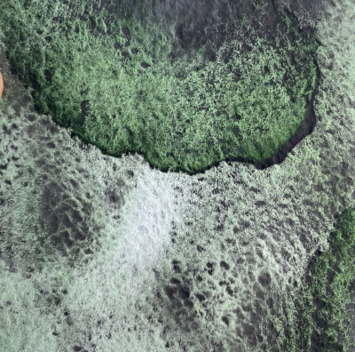 Акварель "Handy" кювета 2 мл, Таёжный