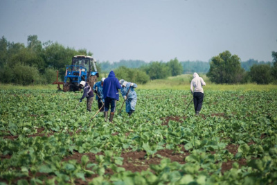 В Якутии среди предпринимателей и самозанятых проводят фотоконкурс / ЯСИА   Республика Саха (Якутия)