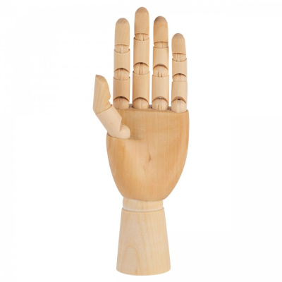 Модель "рука" 25 см, женская левая