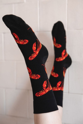 Носки "Ars Vivendi. Омар" 38-41